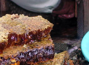 �Z���ȖI��������Ă��܂�