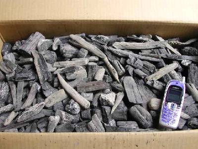 �I�B�����Y�@�R�������ړI�p�Y�R�s