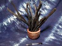 �I�B�����Y�@���L�E�����E�C���e���A�p�Y�׊ۂT�O�O��