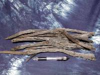 �I�B�����Y�@���L�E�����E�C���e���A�p�Y�׊ۂT�O�O��