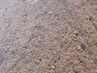 �Δ��E�͘F���p�@�D(�W���b�g��)