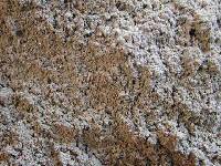 �I�B�����Y�̊D(�U���b�g��)